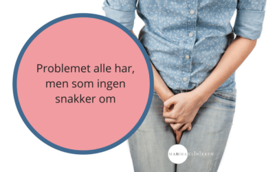 Problemet alle har men som ingen snakker om
