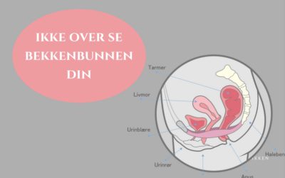 Ikke overse bekkenbunnen